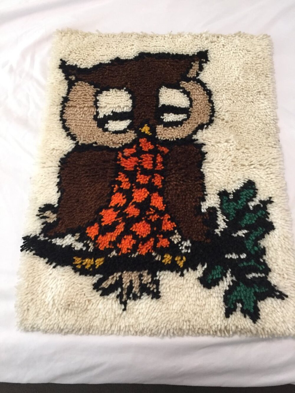 Vintage Latch Hook Rug Sleeping Owl Finished 21" x 27" Retro Wall Hanging MCM